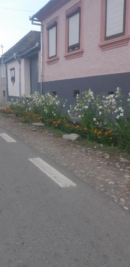 Casa Maior Villa Sacel  Eksteriør billede