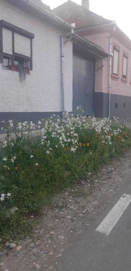 Casa Maior Villa Sacel  Eksteriør billede